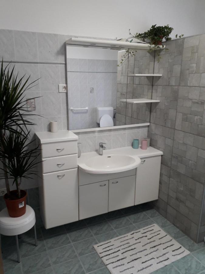 Vidin Raj Apartment Vremski Britof Bagian luar foto