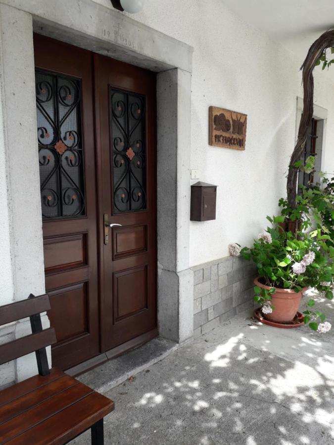 Vidin Raj Apartment Vremski Britof Bagian luar foto