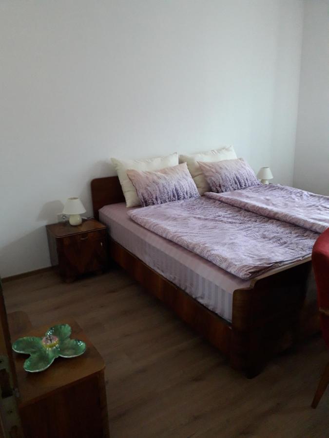 Vidin Raj Apartment Vremski Britof Bagian luar foto